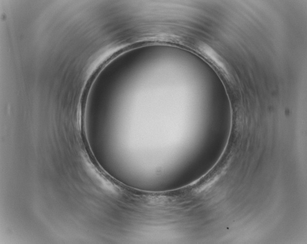 X0000088630940200705251429