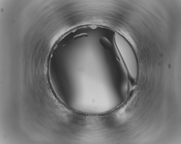 X0000088630944200705251429