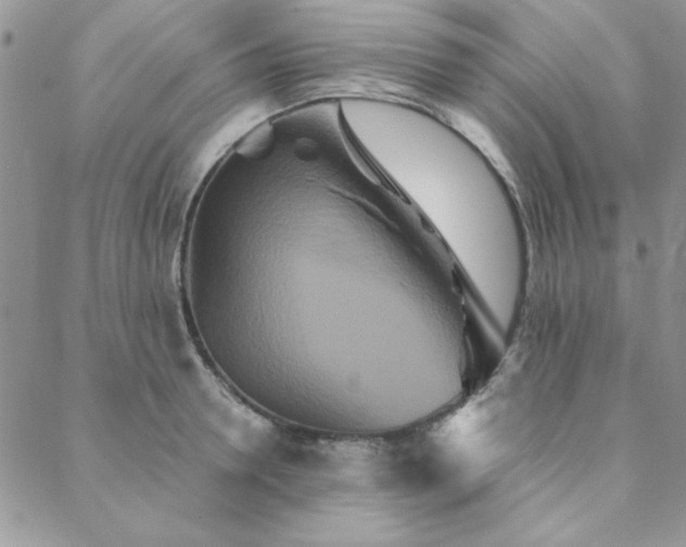 X0000088630946200705251429