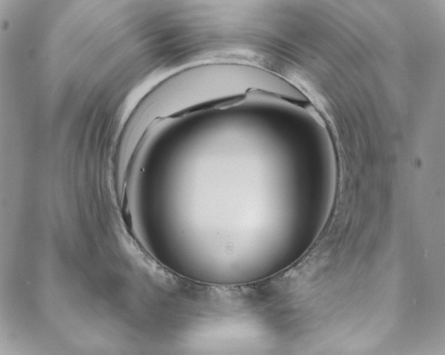 X0000088630960200705251429