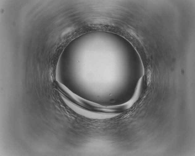 X0000088630965200705251428