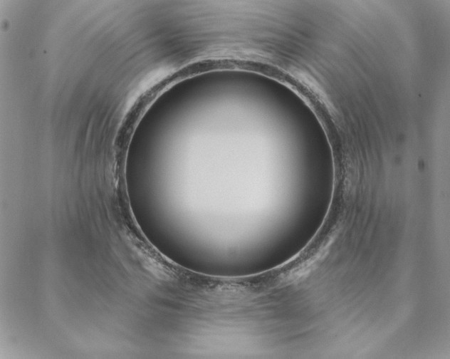 X0000088630974200705251428