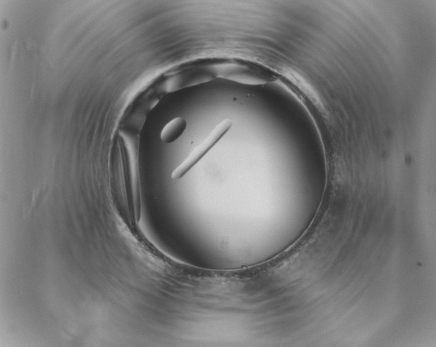 X0000088630980200705251428