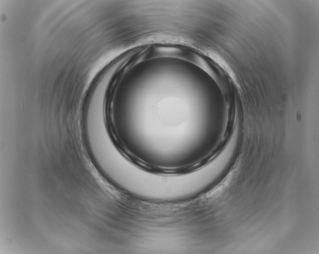 X0000088630981200705251428