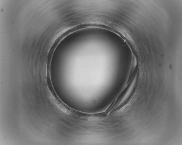 X0000088630984200705251428