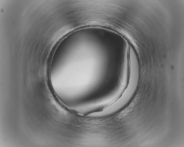 X0000088630991200705251428