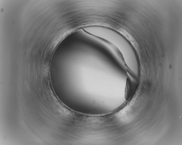 X0000088630993200705251428