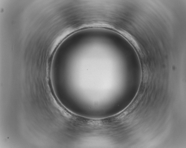 X0000088631006200705251428
