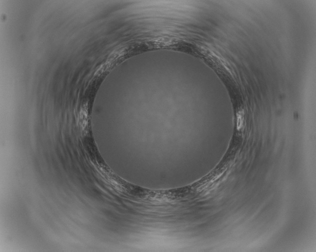 X0000088631011200705251427