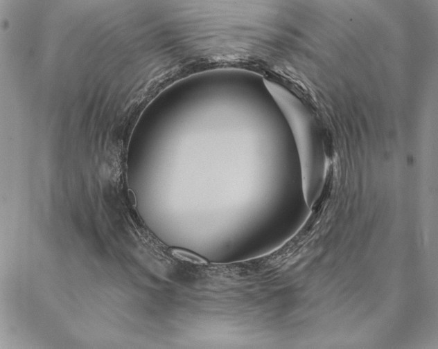 X0000088631012200705251427