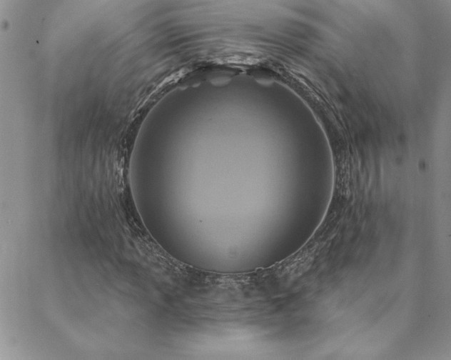 X0000088631013200705251427