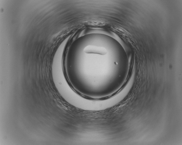 X0000088631014200705251427