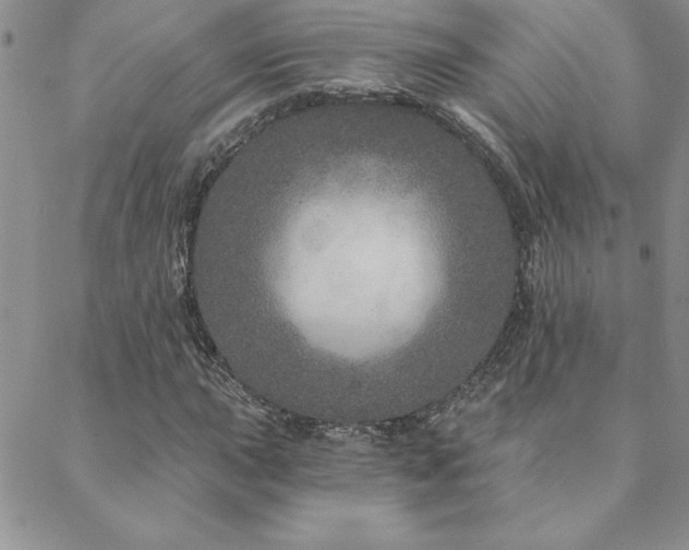 X0000088631015200705251427