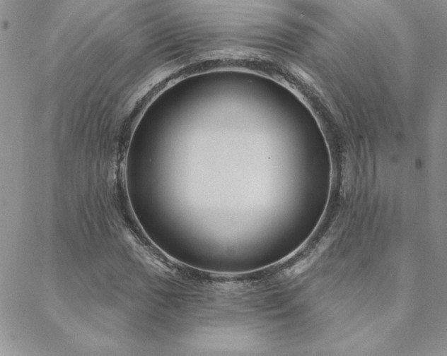 X0000088631017200705251427