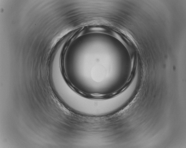 X0000088631018200705251427