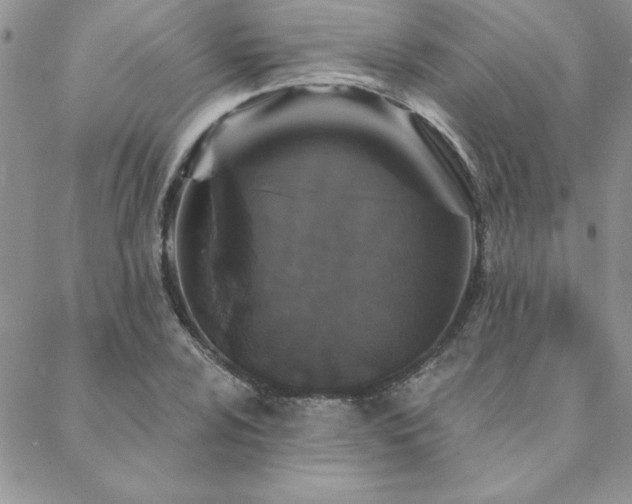 X0000088631024200705251427