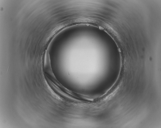 X0000088631033200705251427