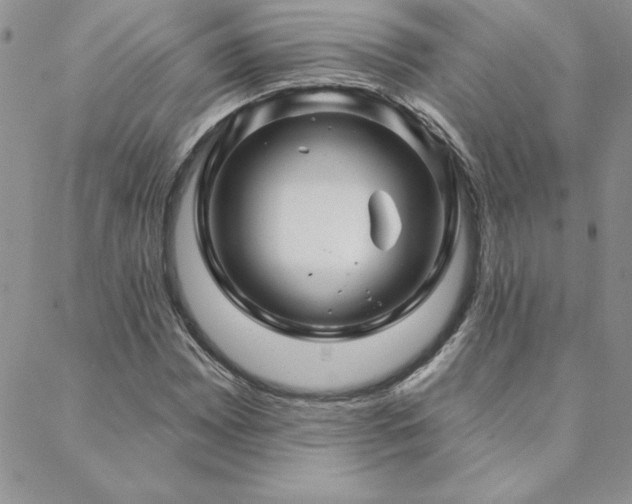 X0000088631065200705251427