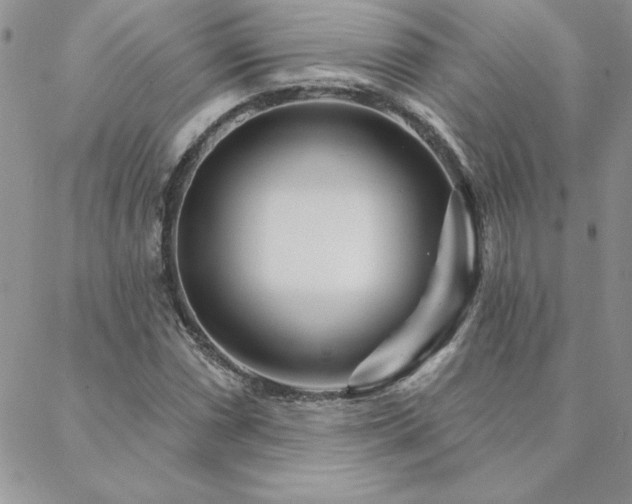X0000088631066200705251427