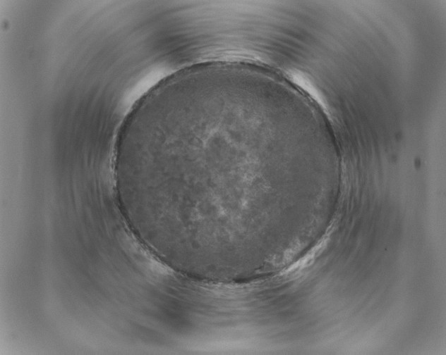 X0000088631071200705251427
