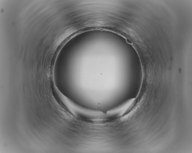 X0000088631073200705251427