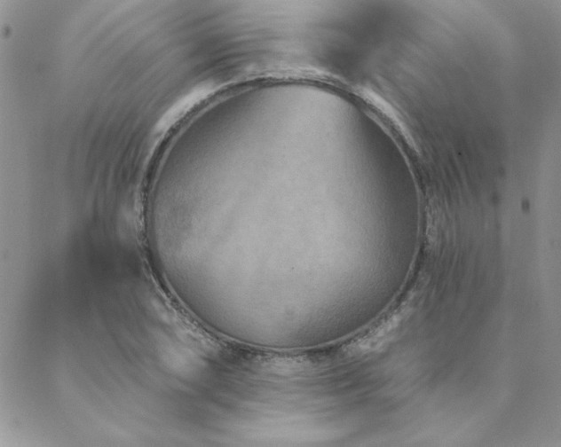 X0000088631074200705251427