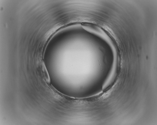 X0000088631081200705251426