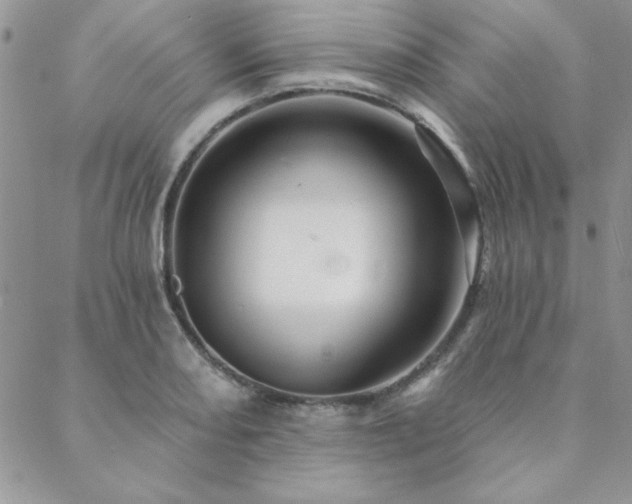X0000088631082200705251426