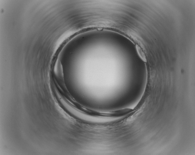 X0000088631085200705251426