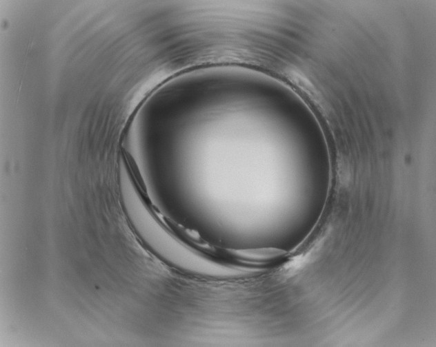 X0000088631089200705251426
