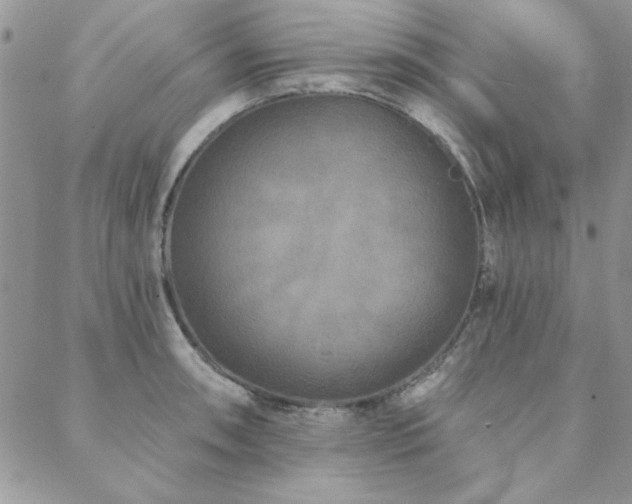 X0000088631090200705251426