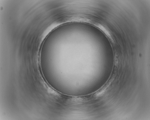 X0000088631094200705251426