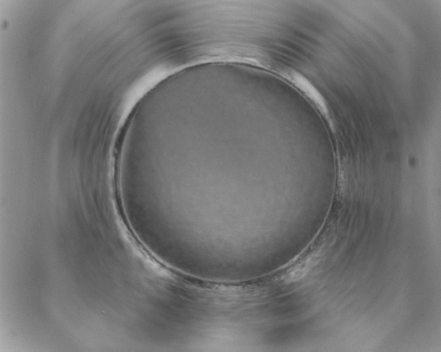 X0000088631096200705251426