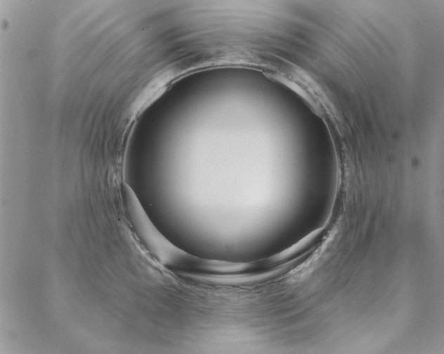 X0000088631097200705251426