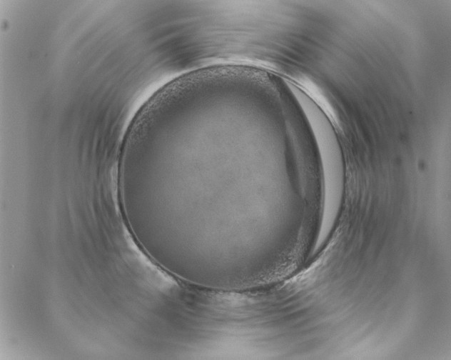 X0000088631100200705251426