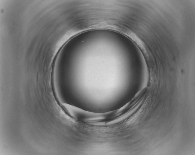 X0000088631102200705251426
