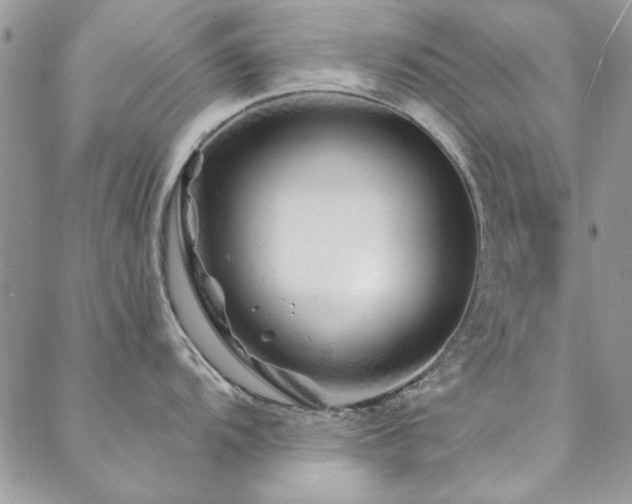 X0000088631104200705251426