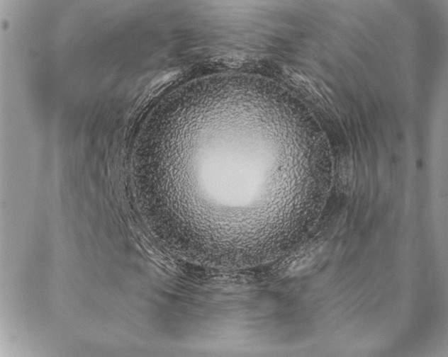 X0000088631105200705251425