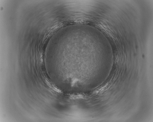 X0000088631106200705251425
