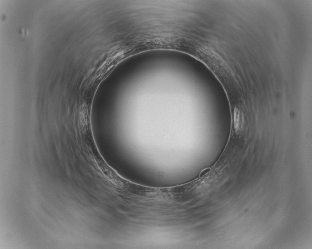 X0000088631107200705251425