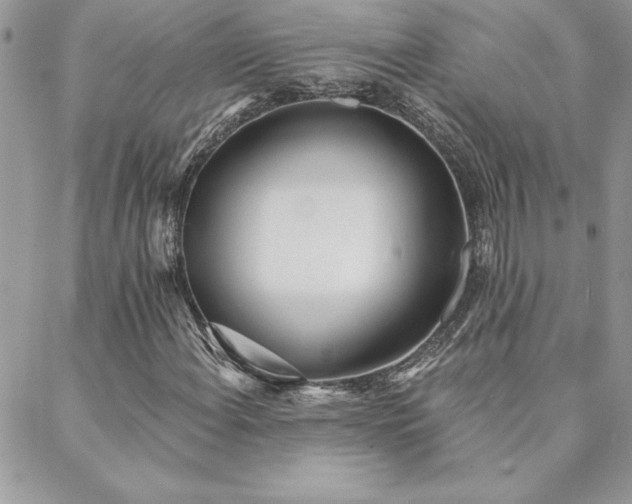 X0000088631108200705251425