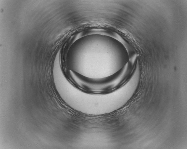 X0000088631110200705251425