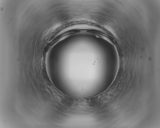 X0000088631111200705251425