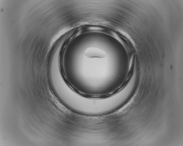 X0000088631114200705251425
