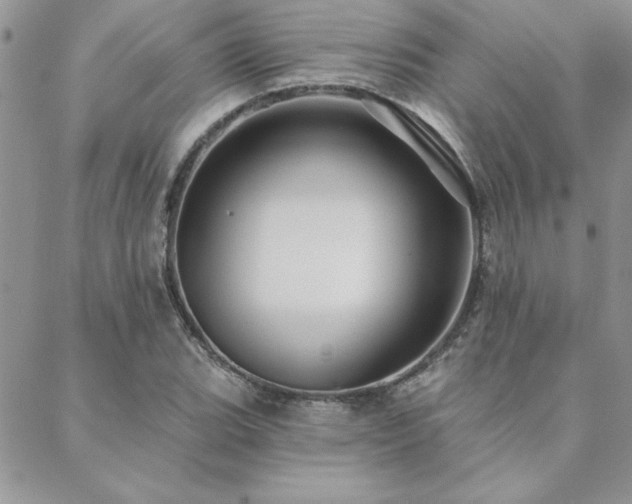 X0000088631119200705251426