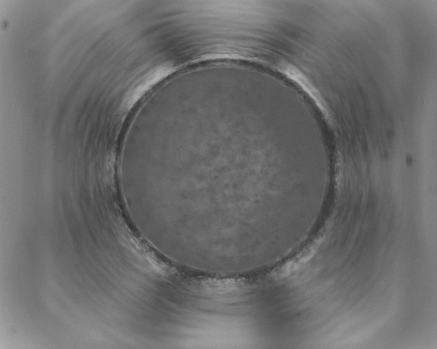 X0000088631121200705251426