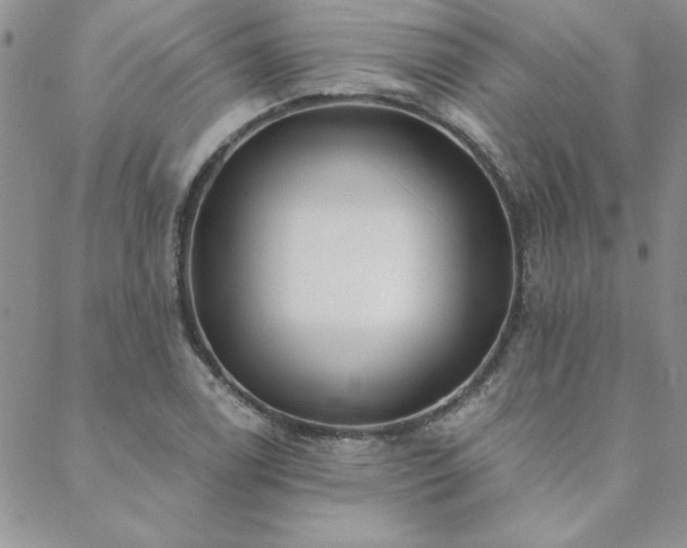 X0000088631122200705251426