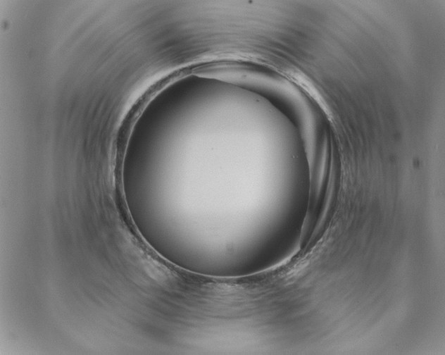 X0000088631124200705251426
