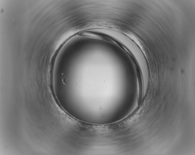 X0000088631147200705251426