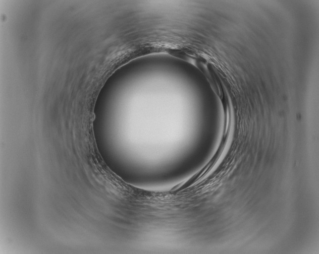 X0000088631153200705251425